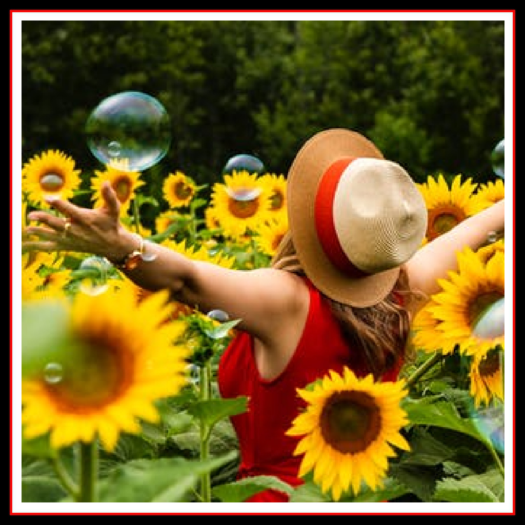 The back of a a woman wearing a straw hat in a field of Sunflowers
