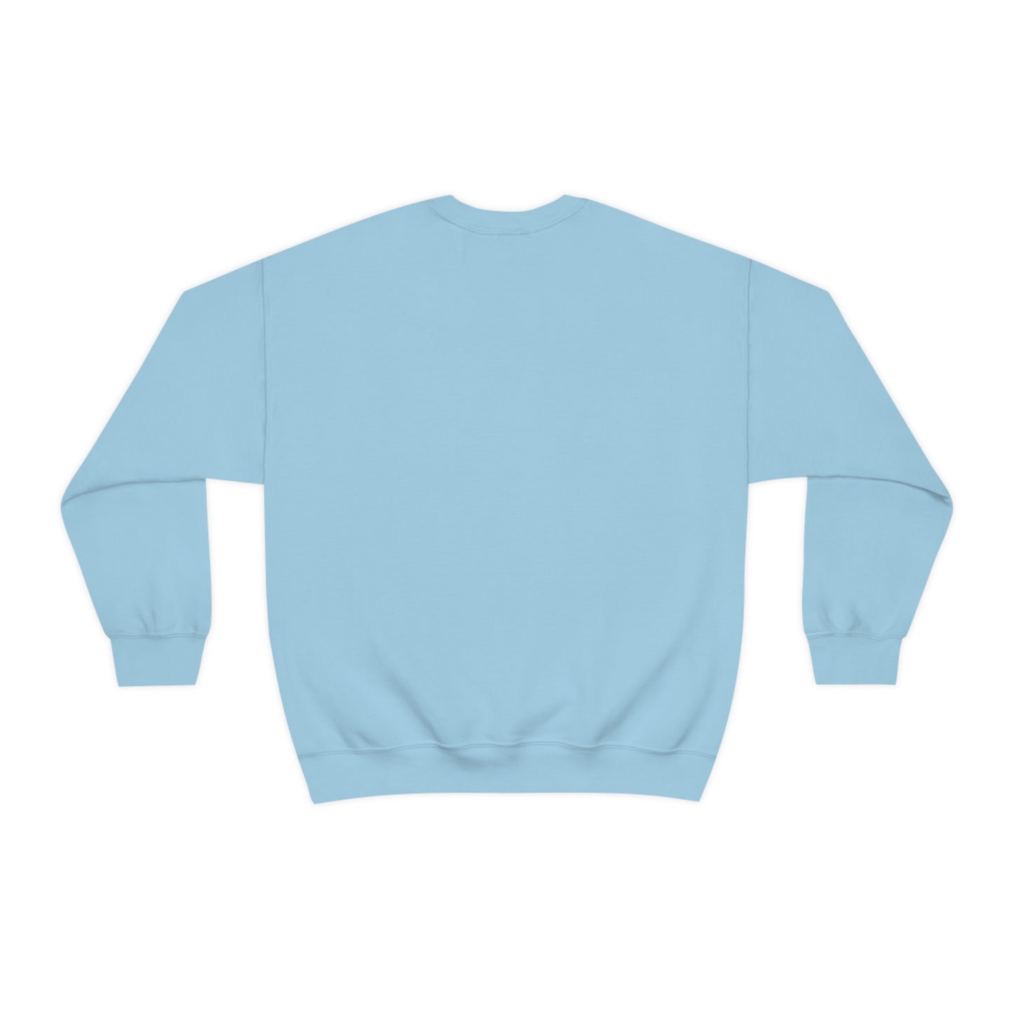 Flat back view of the Light Blue shirt