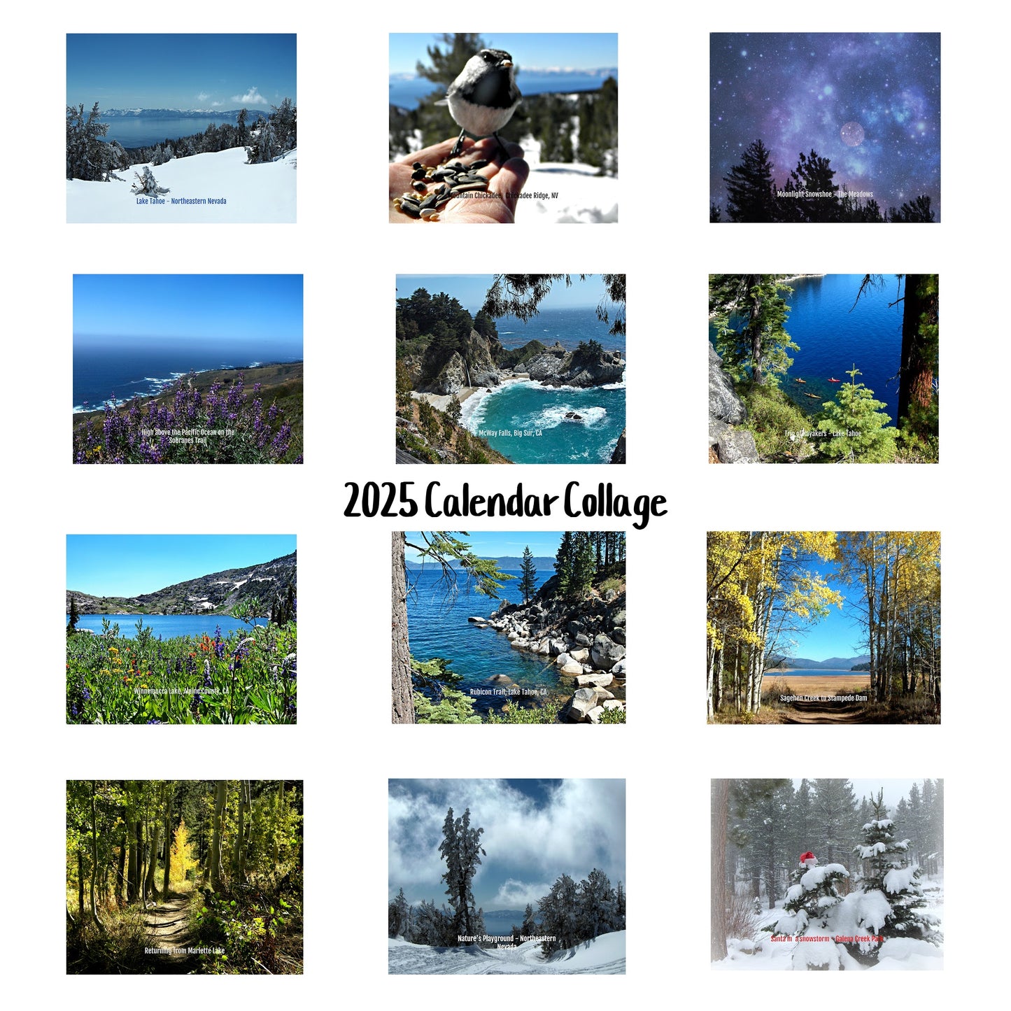 Collage of all 12 photos in the calendar