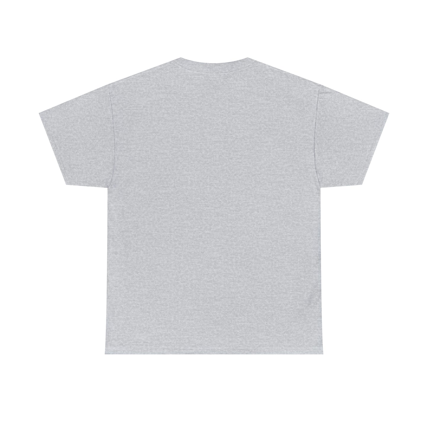 Flat back view of the grey t-shirt