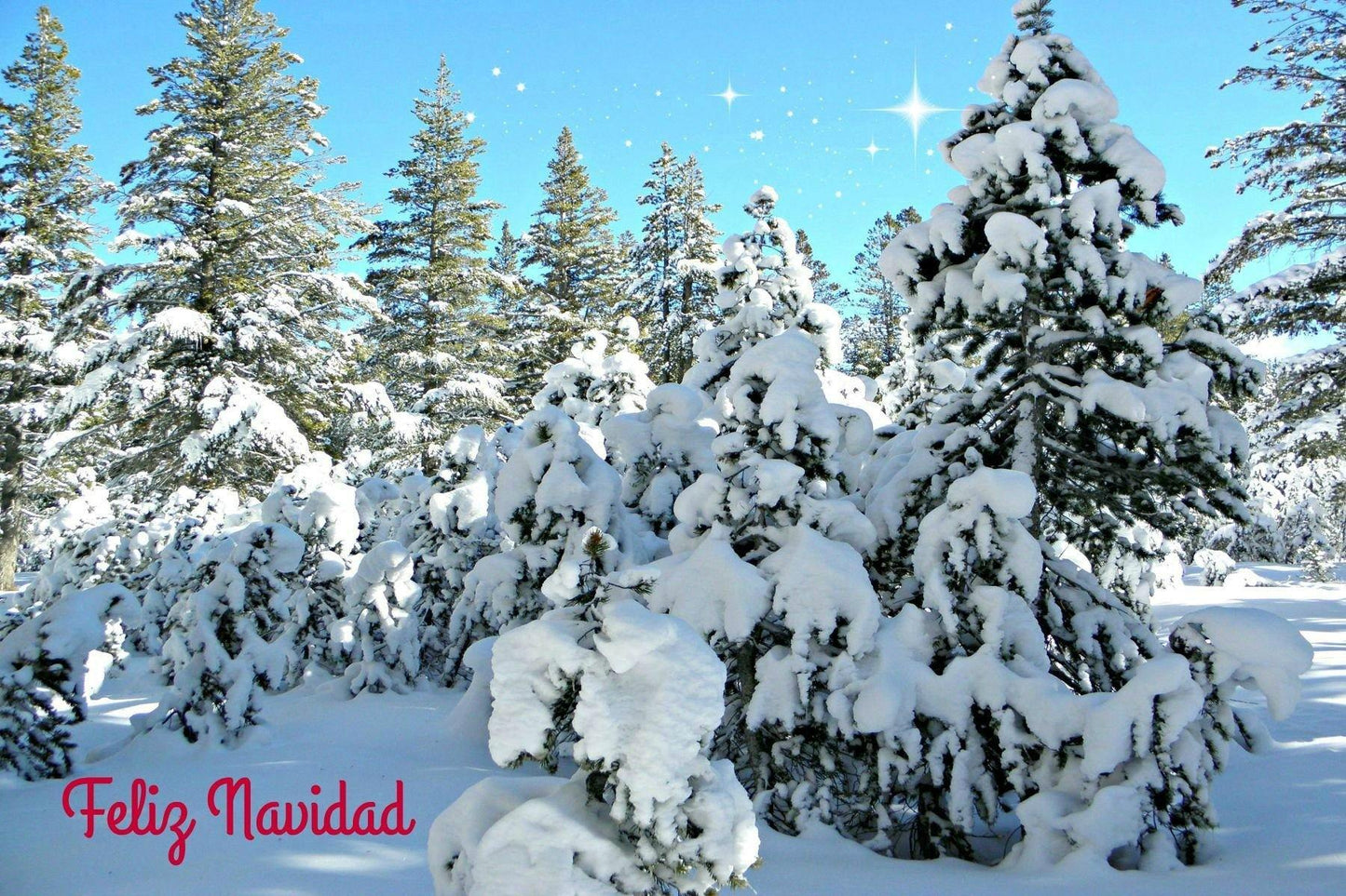 Artwork for our Feliz Navidad Card