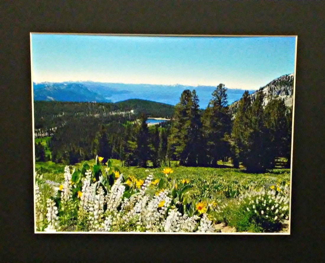 FRESH AIR AND SUNSHINE! Scenic Nevada-Lake Tahoe frame-ready Wall Art | PAMELA'S ART by PonsART - a Gift Shop and Marketplace