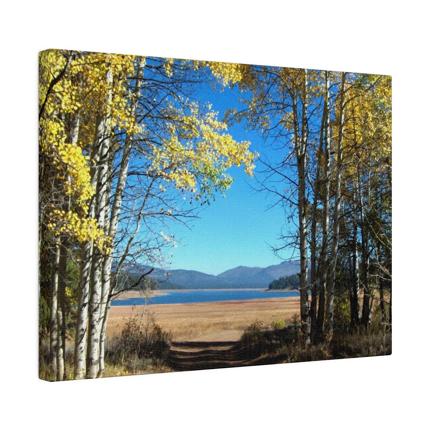 Golden Trees Trail Matte-Canvas: 3 sizes; Panoramic; Scenic