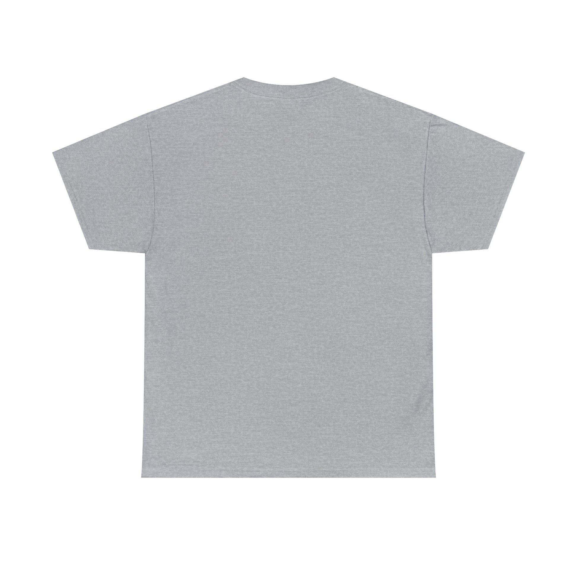 Flat back view of the Sport Grey t-shirt