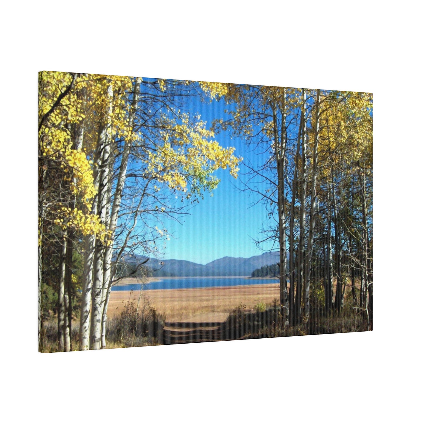 Golden Trees Trail Matte-Canvas: 3 sizes; Panoramic; Scenic