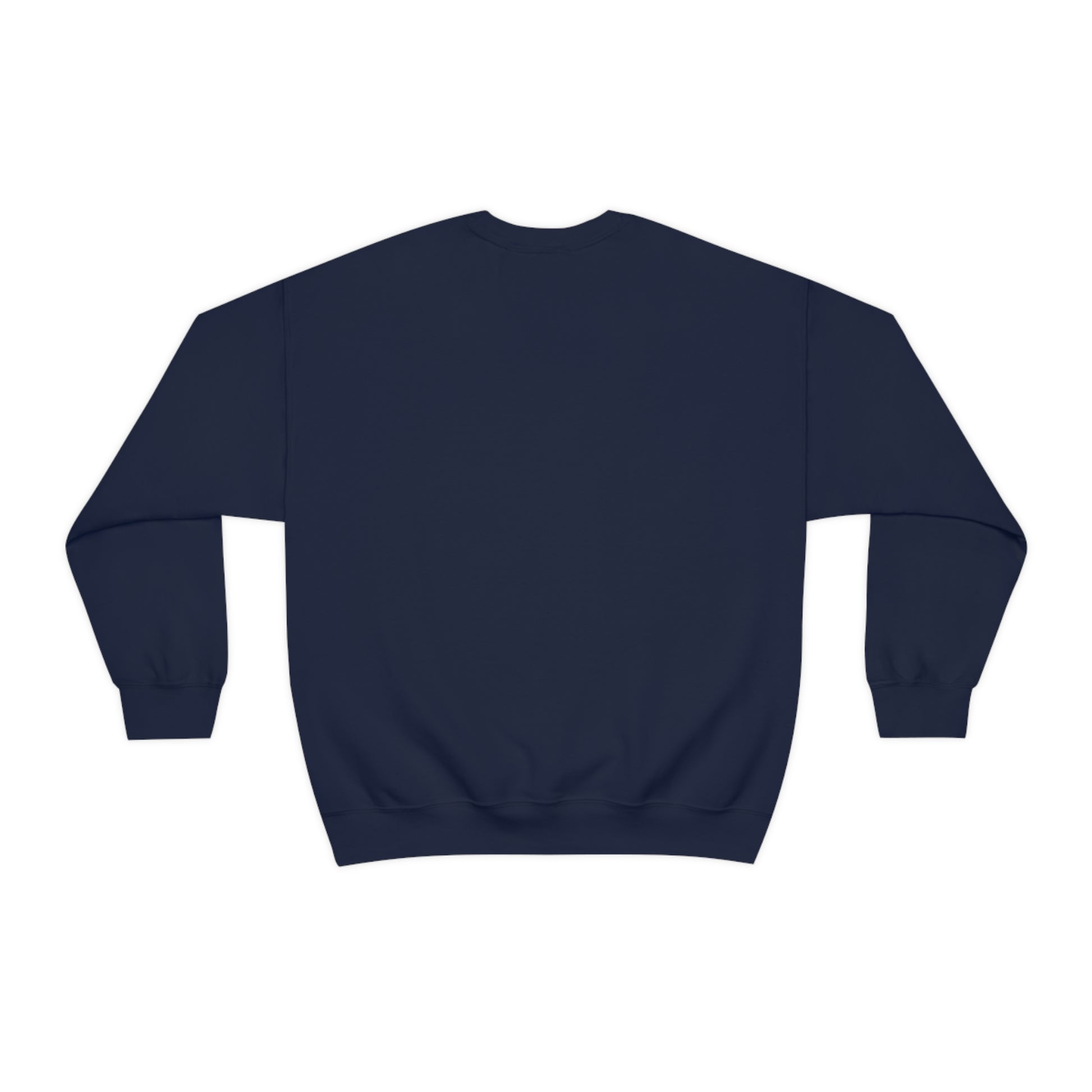 Flat back view of the Navy blue shirt