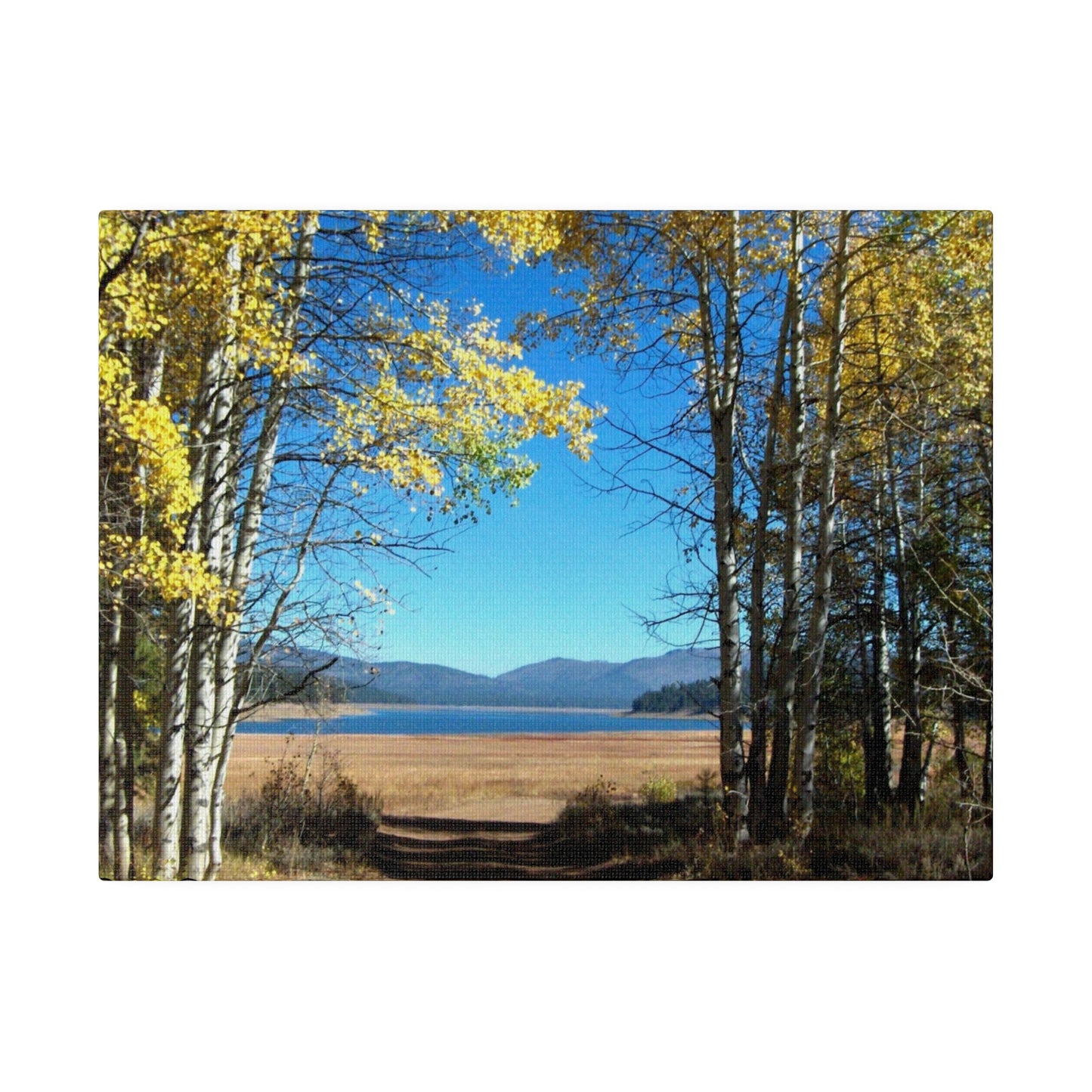 Golden Trees Trail Matte-Canvas: 3 sizes; Panoramic; Scenic