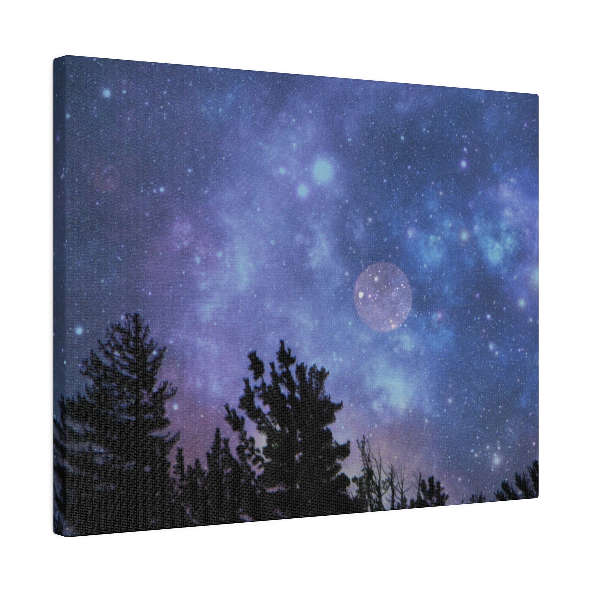 Sentence with replaced product:
Canvas print of a night sky with stars and a full Blue-Moon Matte Canvas above silhouetted pine trees from Printify.