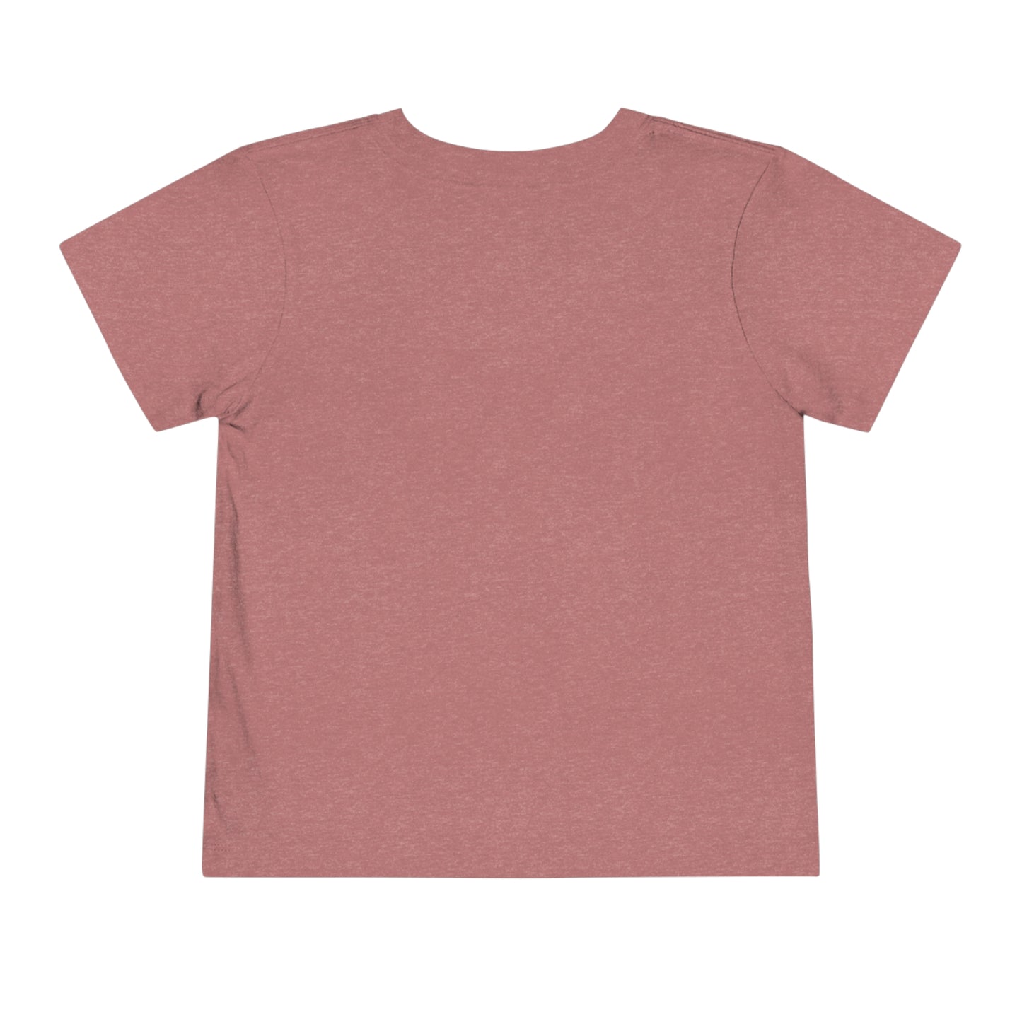 Flat back view of the Heather Mauve shirt