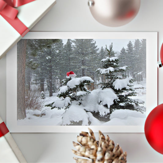 Greeting Card surrounded by holiday decorations