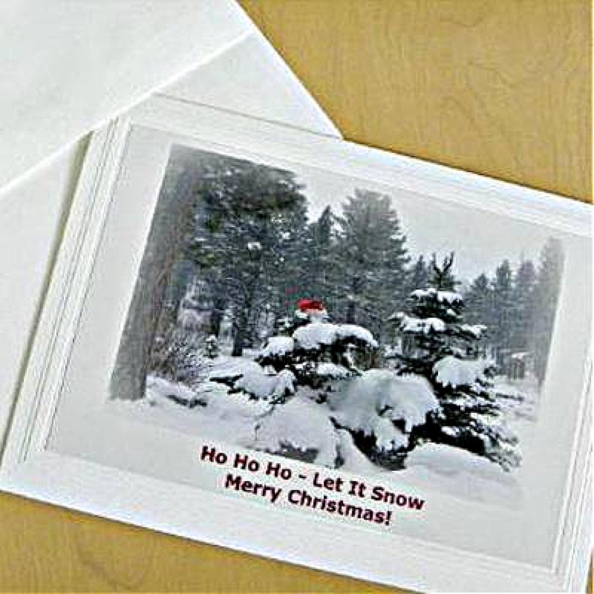 Photo of close up of single Greeting Card featuring a red Santa Hat on a snow-laden tree and a Holiday Greeting printed in red near the bottom