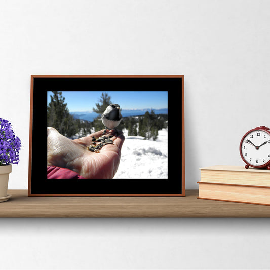 Mock up of our Chickadee Photo Wall Art featuring a bird on a hand containing sunflower seeds