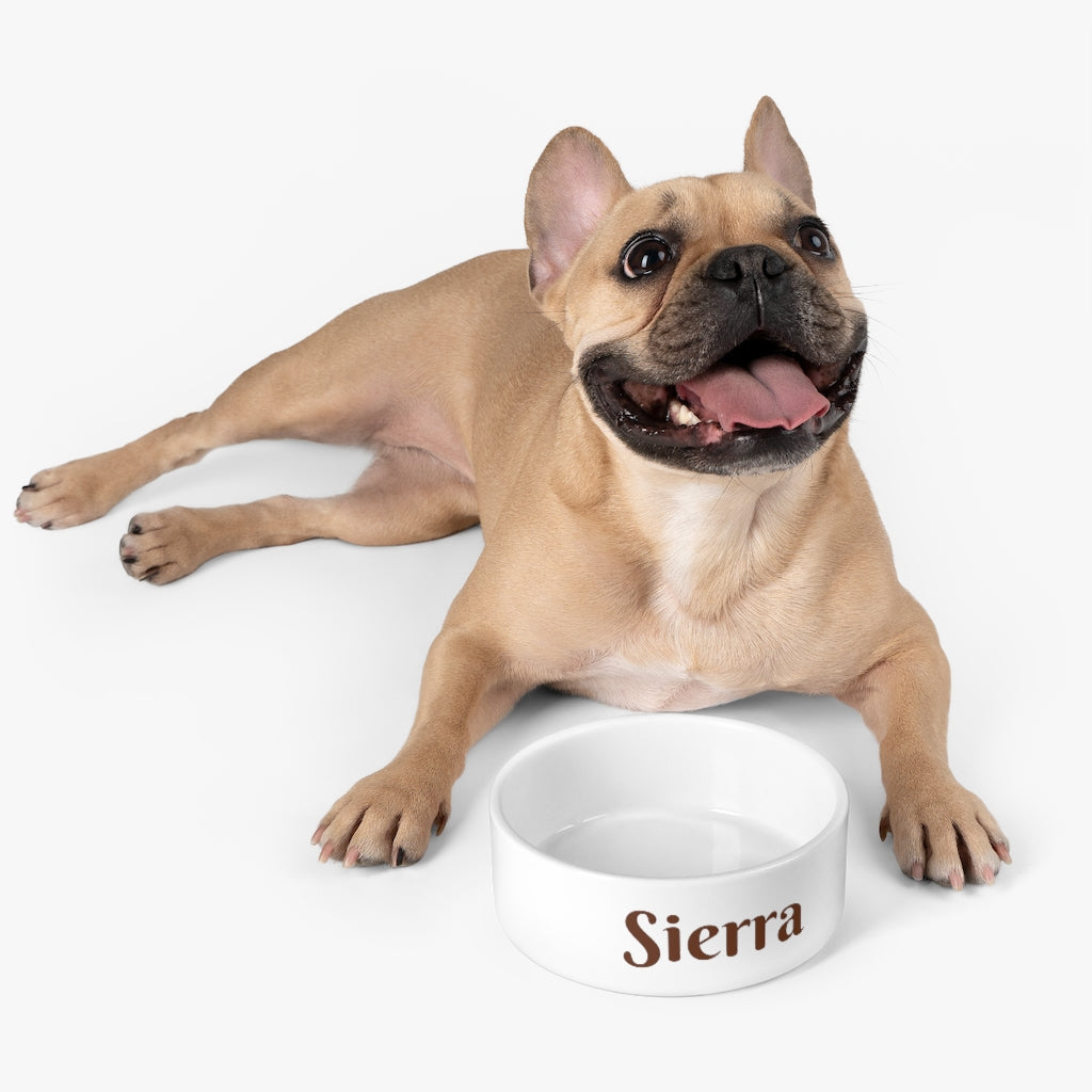 Mock up of an overview of a dog with an empty bowl