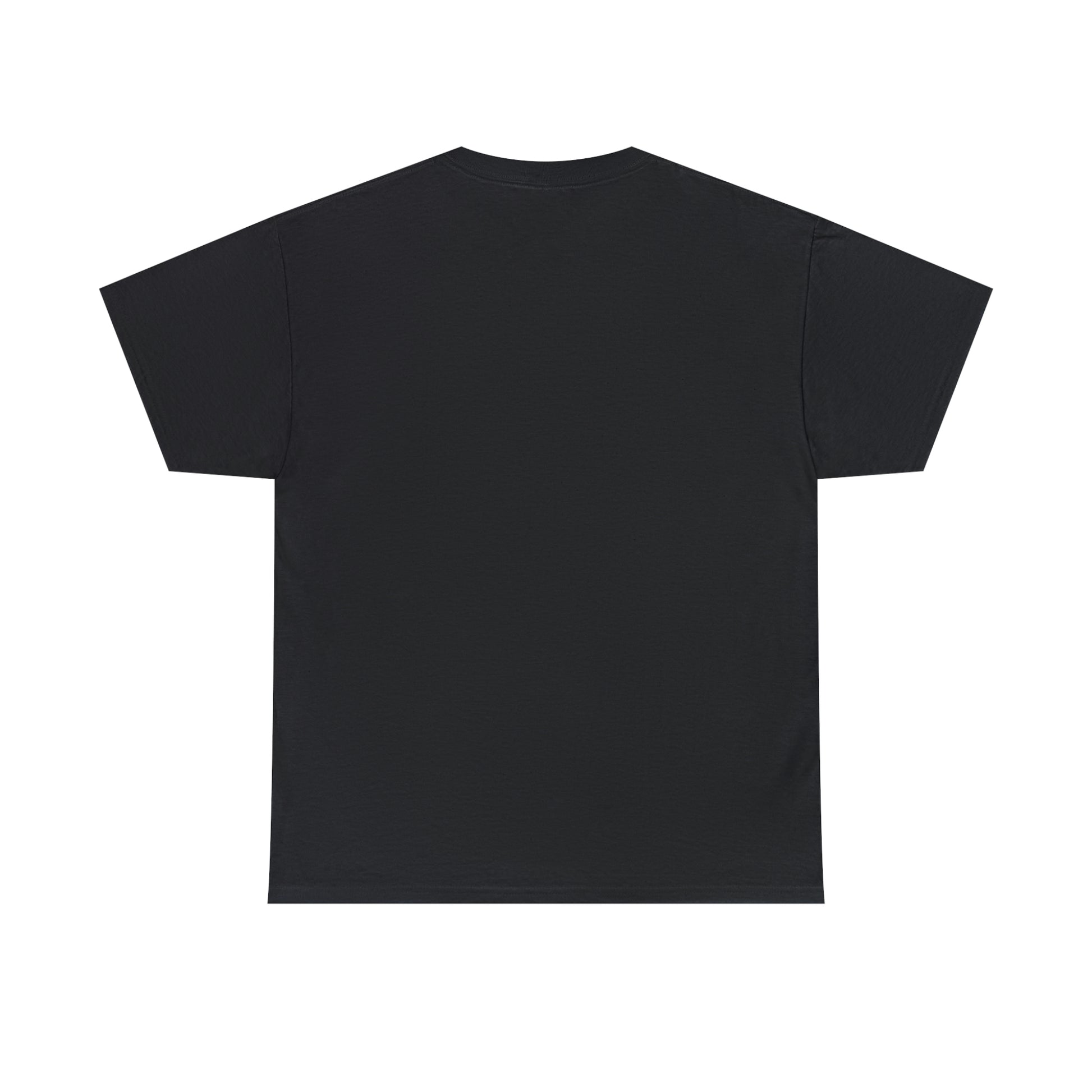 Flat back view of the Black T-shirt