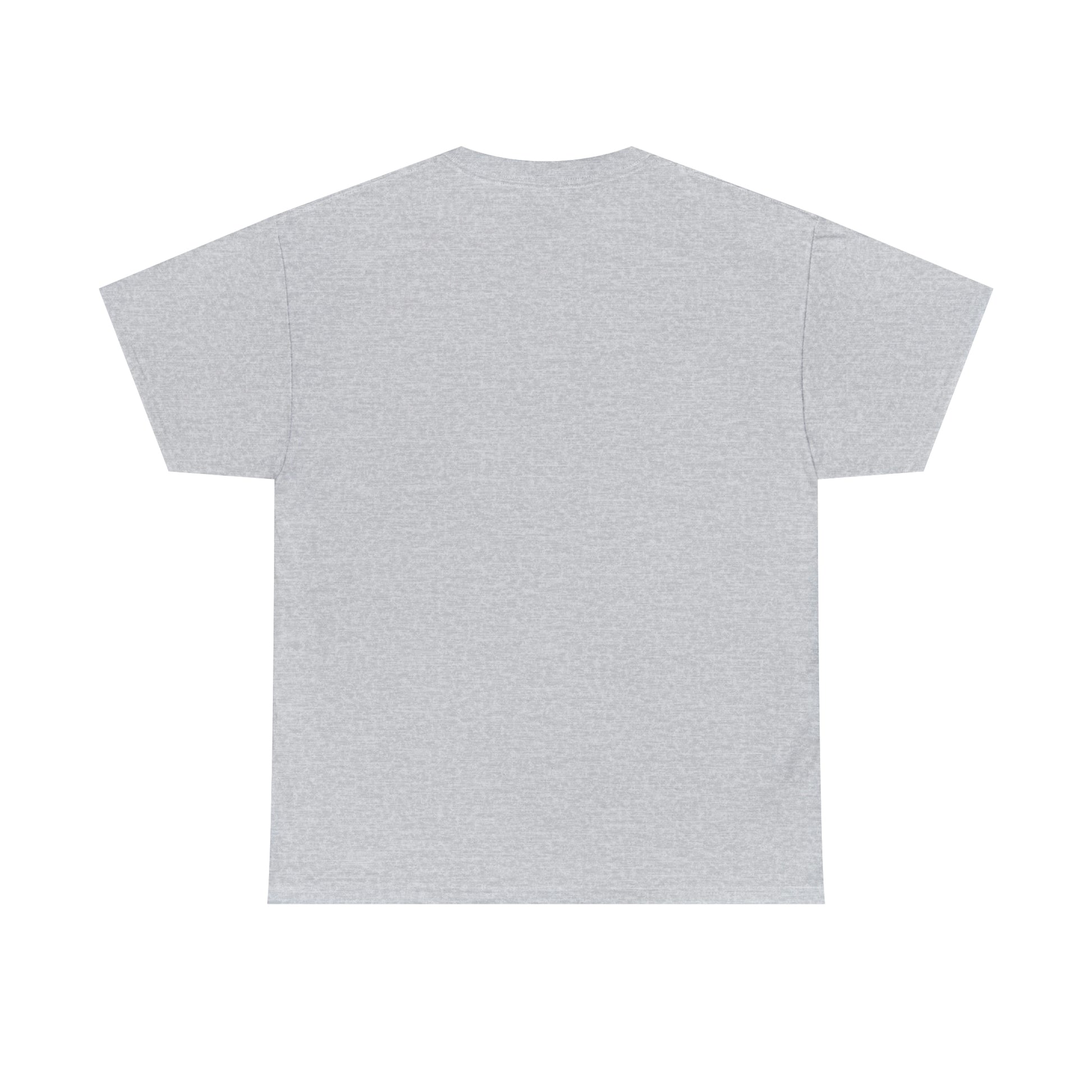 Flat back view of the Sports Grey T-shirt