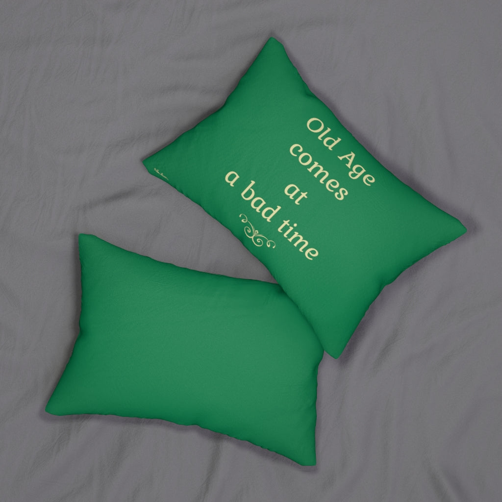 Mock up of 2 pillows