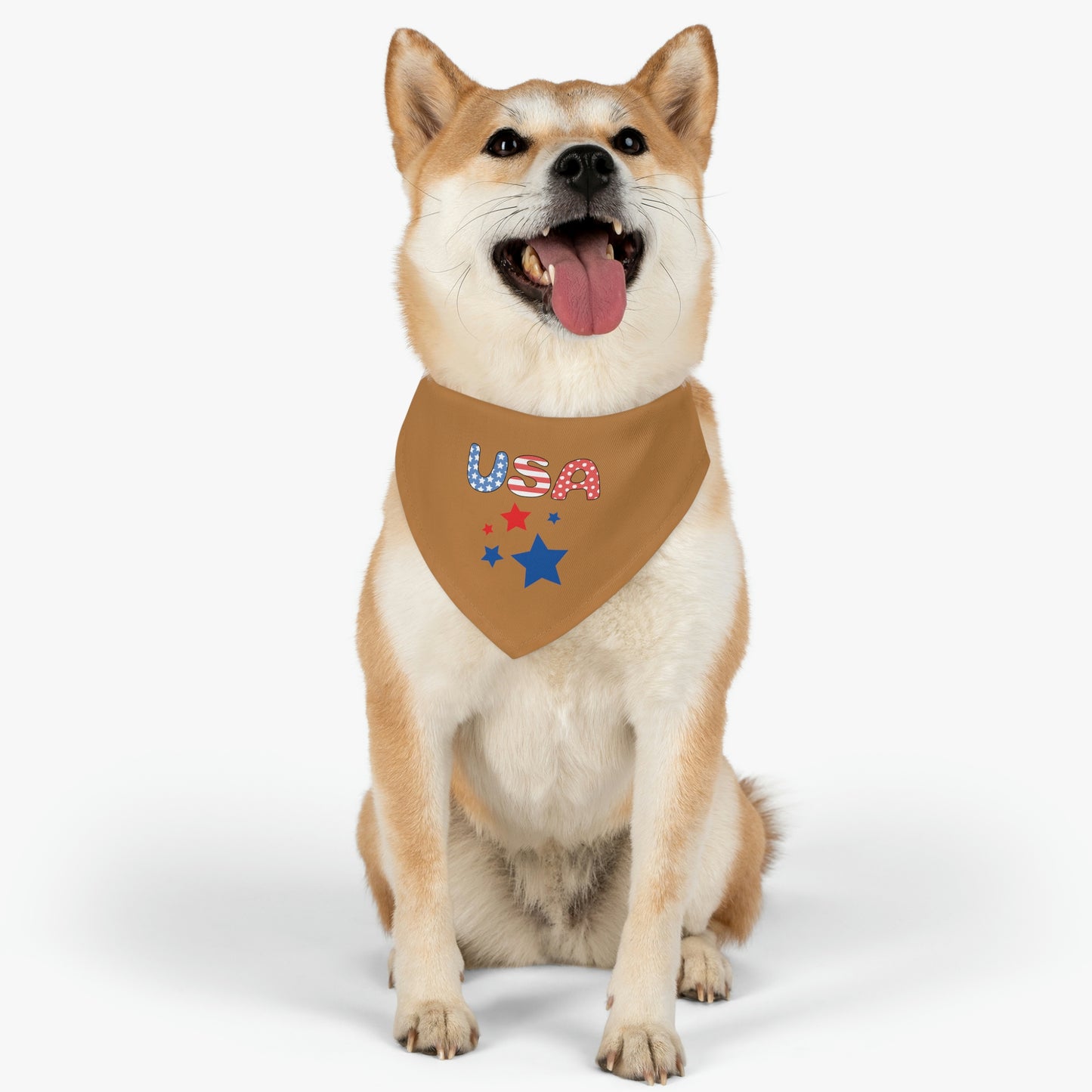 Happy Dog with front view of collar