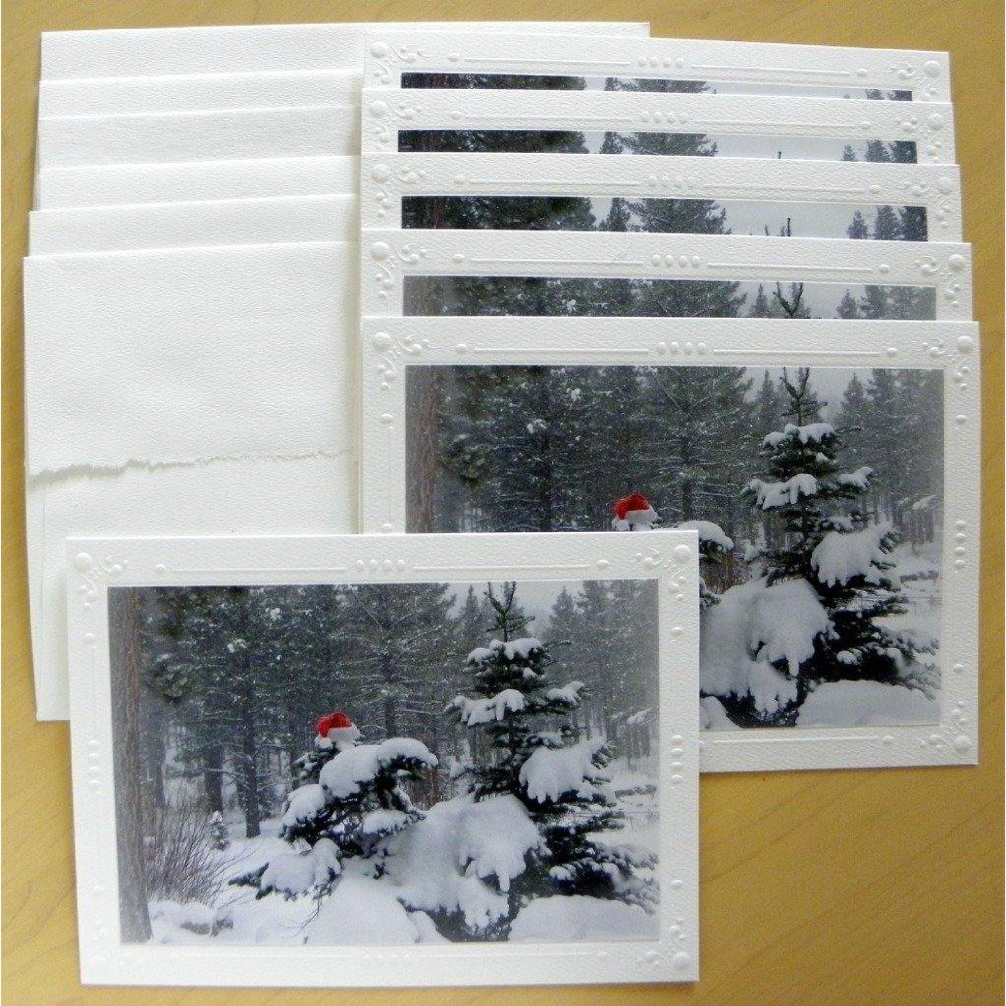Close up of our 6-piece set of Santa Holiday Cards with envelopes