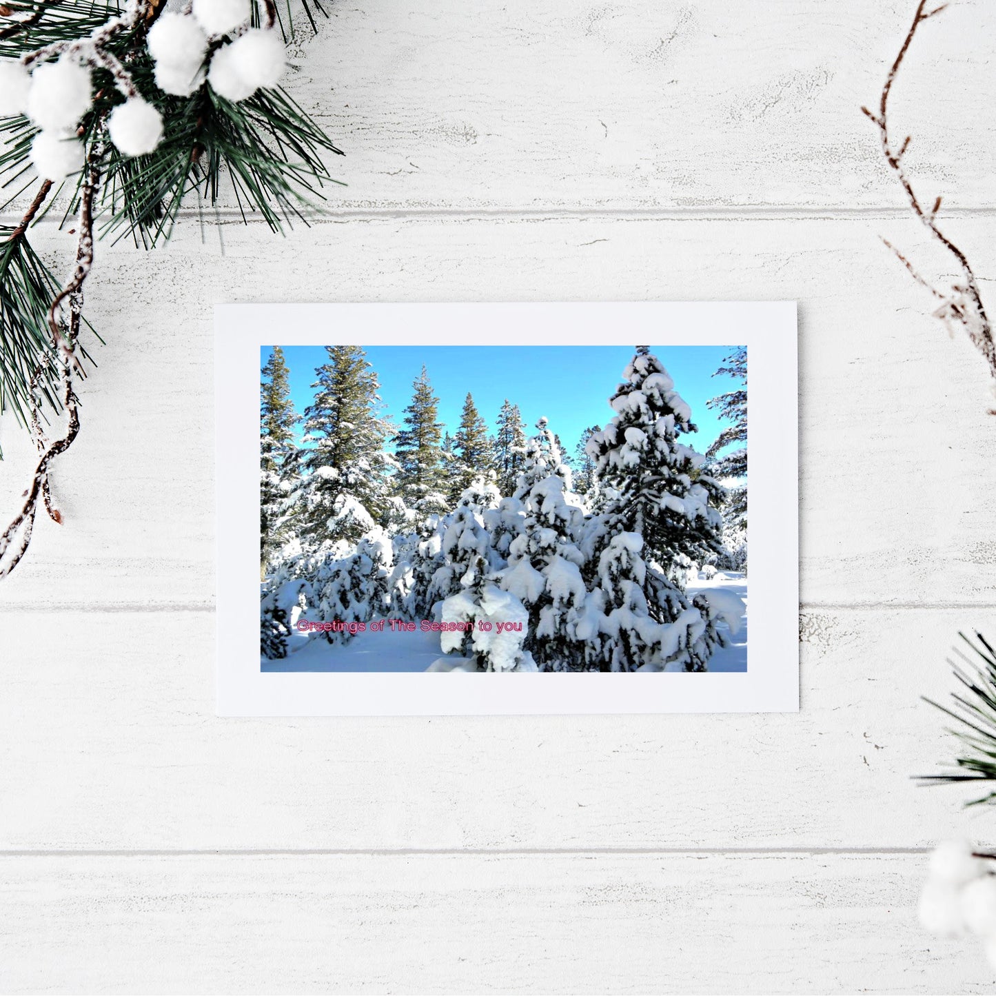 Mock up of the front of our handcrafted photo greeting card featuring trees heavily laden with snow and a turquoise sky overhead
