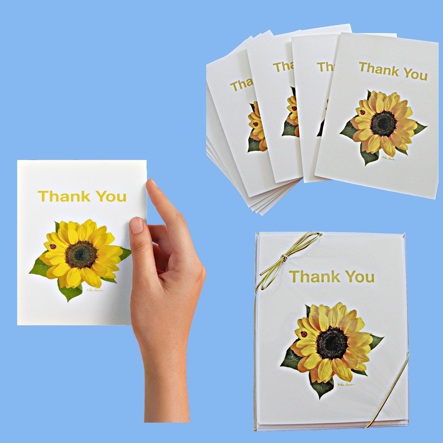 A collage featuring 3 views of the 4-pc. Thank-You Note Card set with a Sunflower design containing a cute little red ladybug