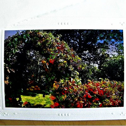 Autumn Botanical-Photo Card