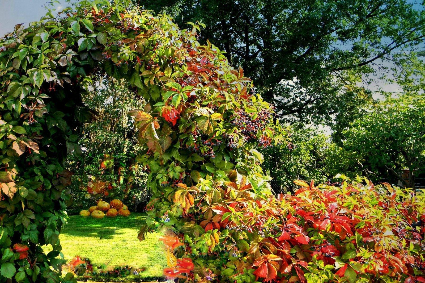Close up of the Autumn Botanical-Photo artwork