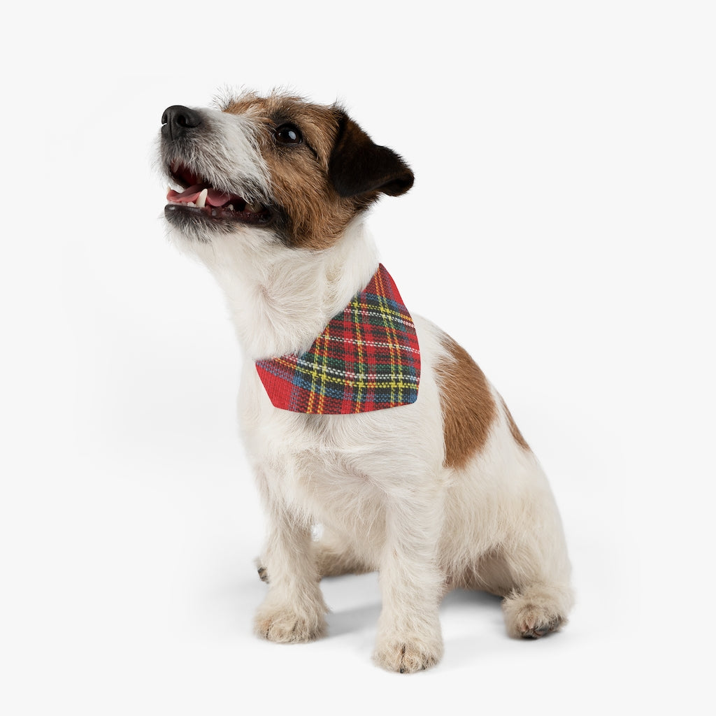 Mock up of small dog wearing our bandana-collar