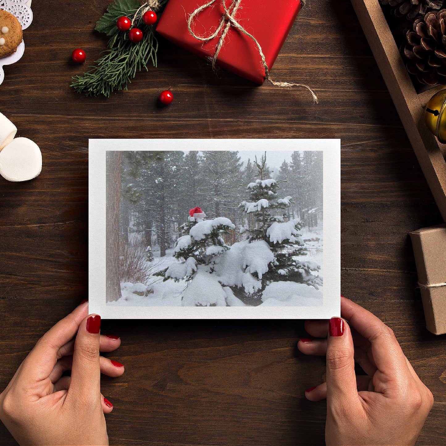 Cozy mock up of one of our Holiday Note Cards held by a woman with red fingernail polish