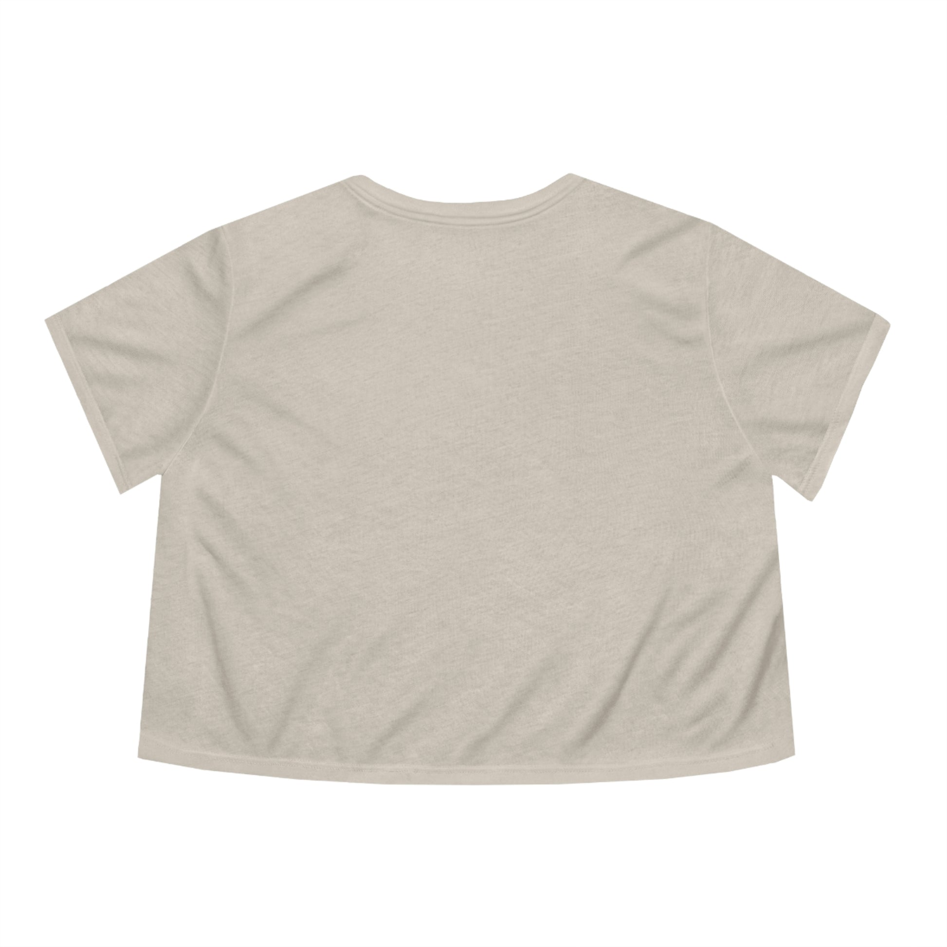 Flat back view of the Heather Dust shirt
