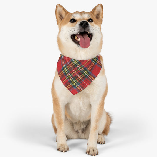 Mock up of the front view of a dog wearing our Holiday Pet Bandana-Collar