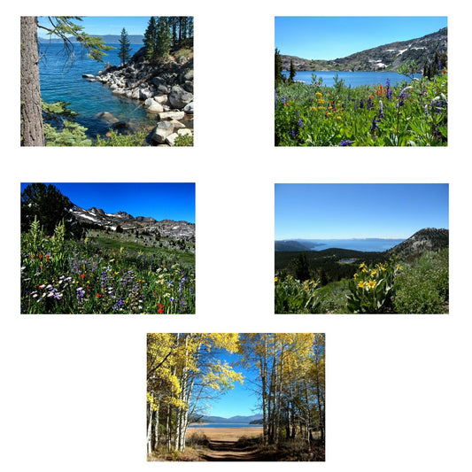Collage of the 5 Scenic Landscapes 