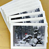 Photo of our 4-piece Holiday Card Set