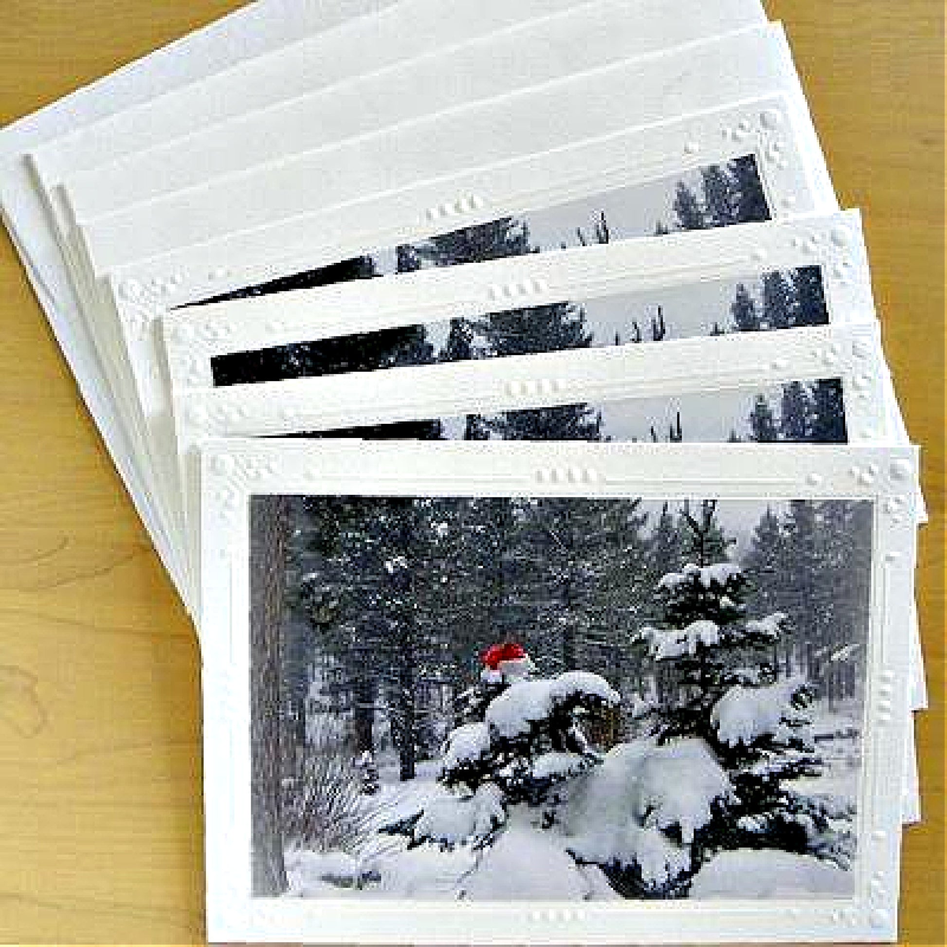 Photo of our 4-piece Holiday Card Set