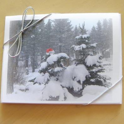 Holiday Note Cards: Printed Sets; by PonsART $12.95+ - PAMELA'S ART by PonsART - a Gift Shop and Marketplace
