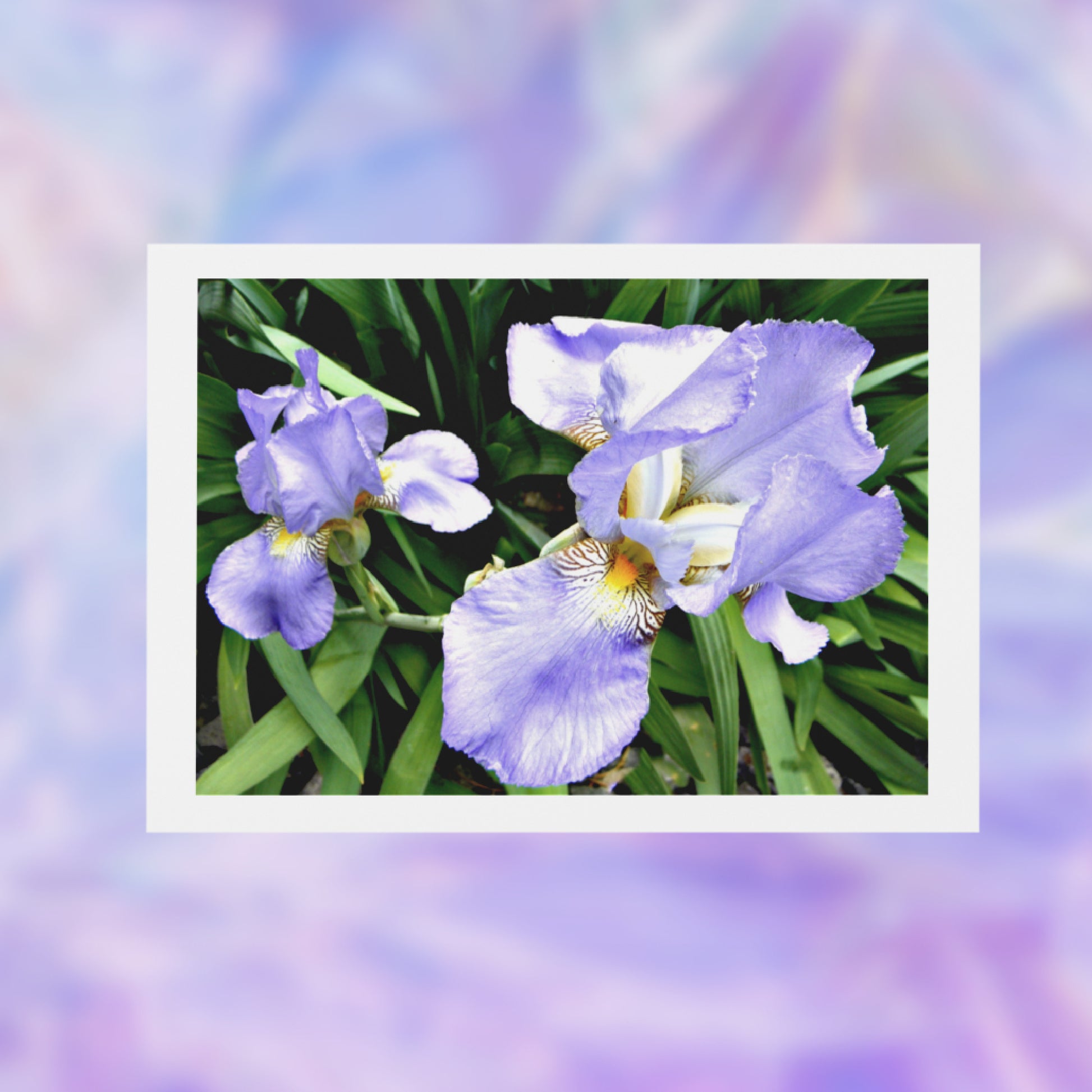 Close up of the front of our Iris-Photo Greeting Card