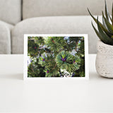 Mock up of a single All-Purpose Greeting Card featuring Green Pine Boughs displayed on a living room table along side of a  small desert plant