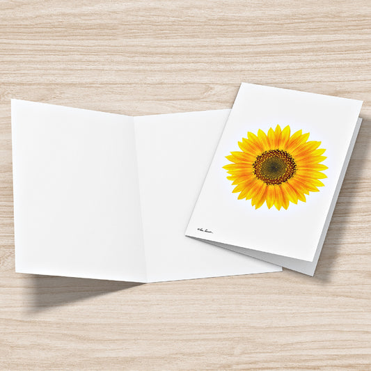 Mock up of two Sunflower Greeting Cards; one view features the blank inside and the other view features the front