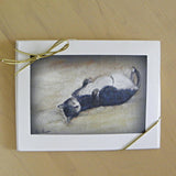 Cat Note Card set with gold stretch-tie and bow
