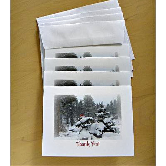 Photo of a 4-piece set of Printed Thank-You Cards with envelopes