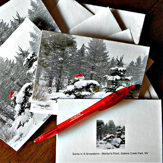 Our 4-piece set of blank inside, printed, Santa Note Cards (red pen not included in the set)