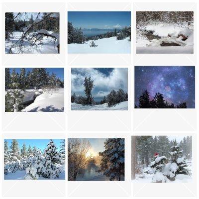 Snow Scene Cards: Blank; 9-pc. Set by PonsART $31.95 - PAMELA'S ART by PonsART - a Gift Shop and Marketplace