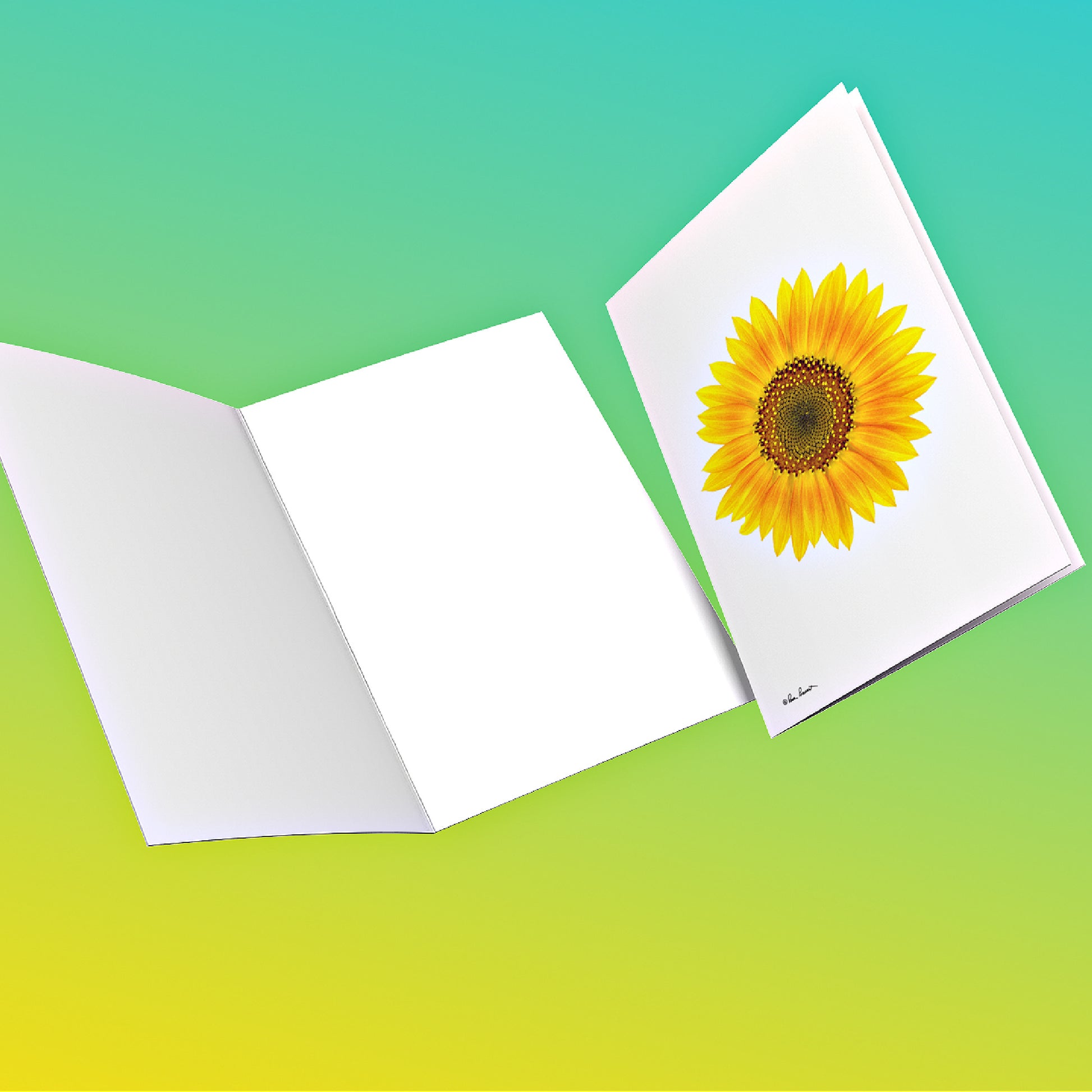 Mock up of two Sunflower Greeting Cards. One is open and blank and the card on the right features the design on the front.