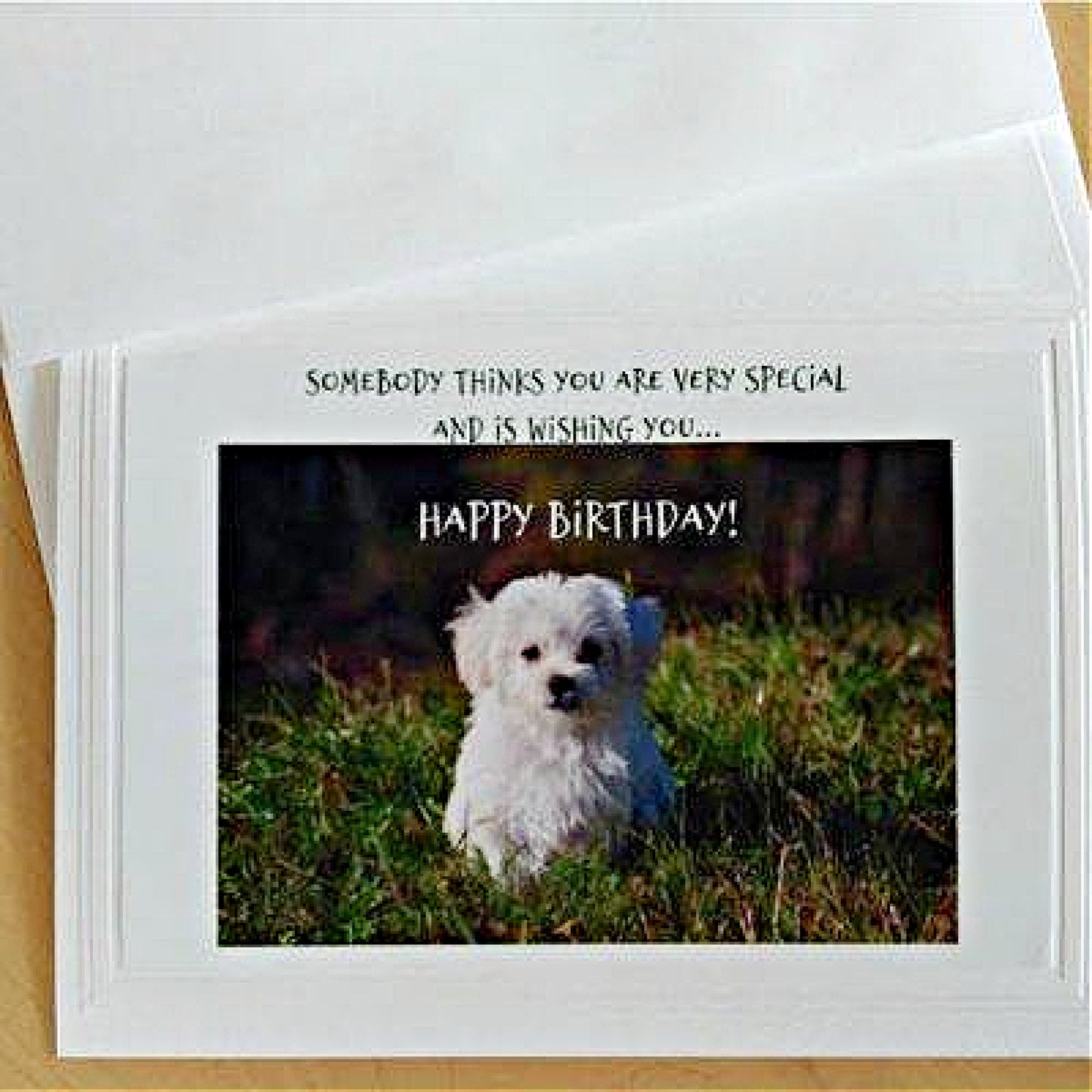 Front view of our Special Birthday Card